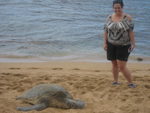 At the beach with a turtle 